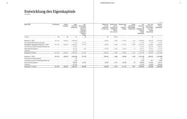 Entwicklung des Eigenkapitals