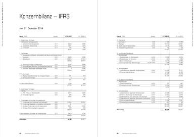 Binder+Co Konzernbilanz - IFRS