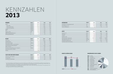 Polytec Geschäftsbericht 2013 Kennzahlen