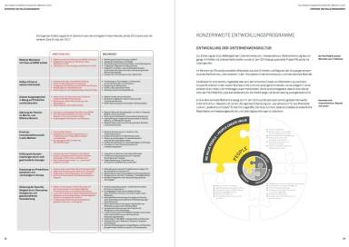 Palfinger Geschäftsbericht 2015 - Konzernweite Eintwicklungsprogramme