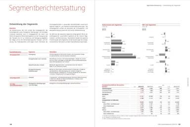 EVN - Segmentberichterstattung